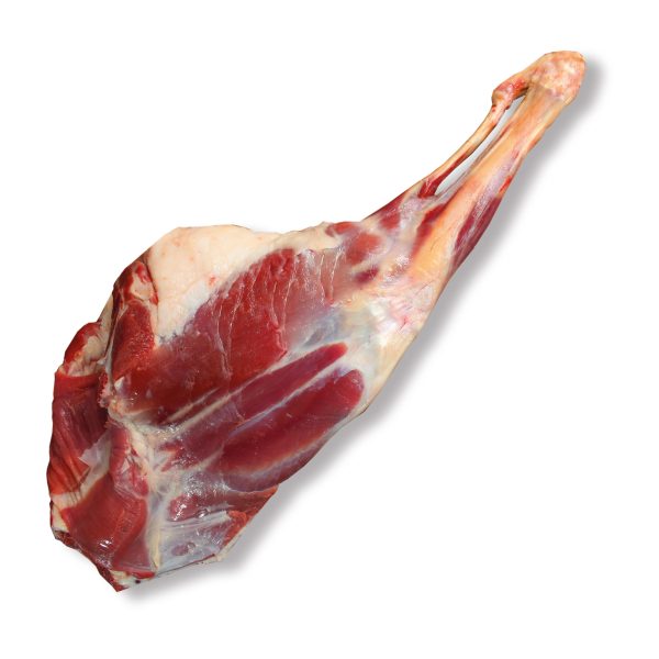 سردست گوسفندی