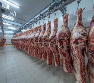 8f604d5e 646f 4fb1 85b7 9ec3598b1057 360x320